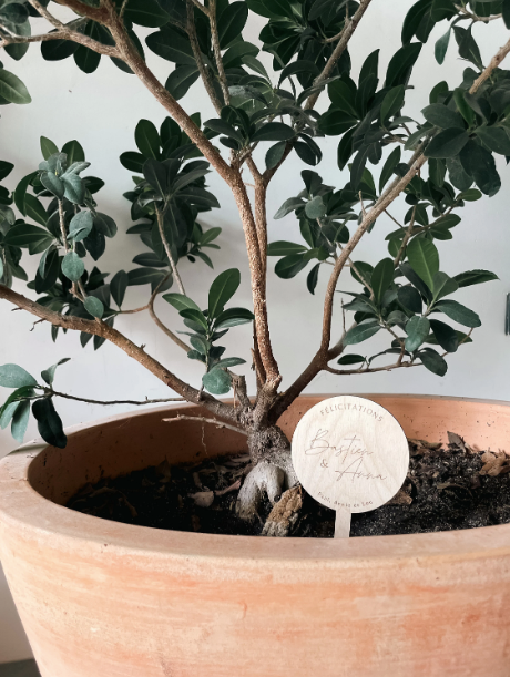 Topper en bois pour plantes